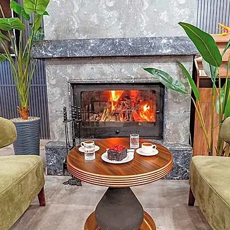The Park 5* Сапанча